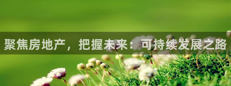 新宝5官网平台：聚焦房地产，把握未来：可持续发展之路