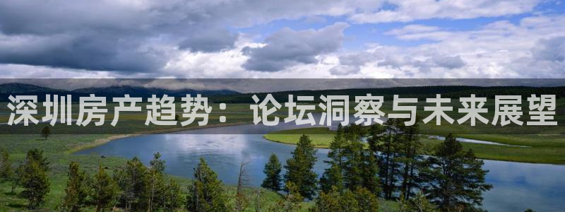新宝5线路登录检测：深圳房产趋势：论坛洞察与未来展望