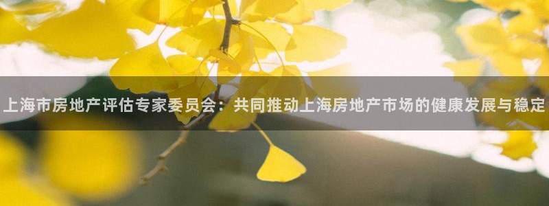 新宝5网：上海市房地产评估专家委员会：共同推动上海房地产市场