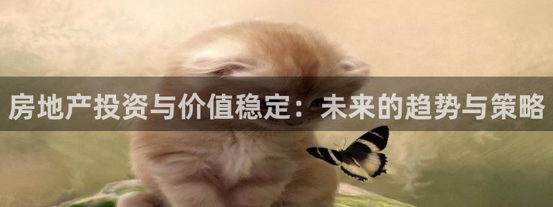 新宝5平台注册公司：房地产投资与价值稳定：未来的趋势与策略