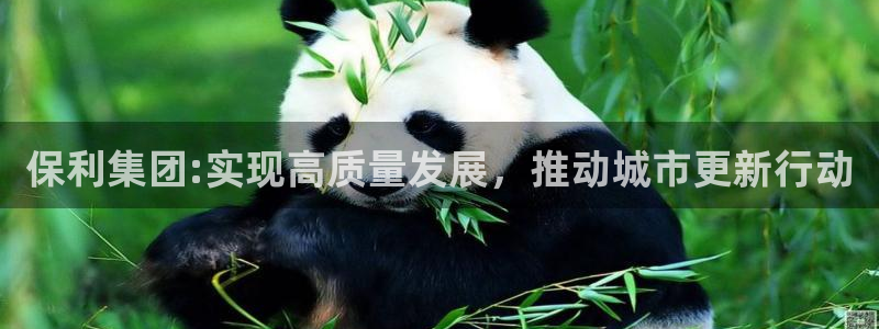 新宝5娱乐方：保利集团:实现高质量发展，推动城市更新行动