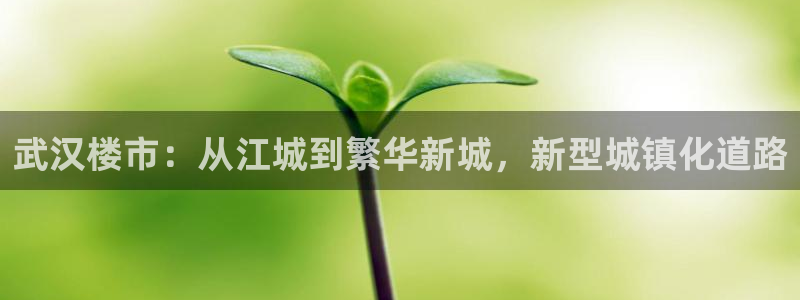 新宝5褚74OOO5：武汉楼市：从江城到繁华新城，新型城镇化