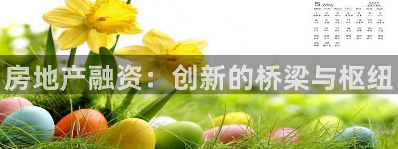 新宝5源码：房地产融资：创新的桥梁与枢纽