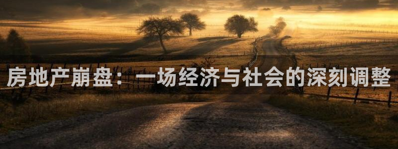 新宝5软件下载：房地产崩盘：一场经济与社会的深刻调整