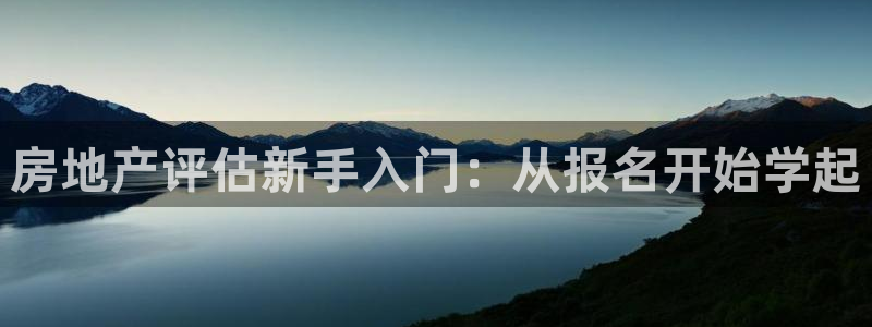 新宝5挂机软件：房地产评估新手入门：从报名开始学起