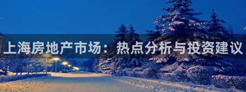 新宝5娱乐主管：上海房地产市场：热点分析与投资建议