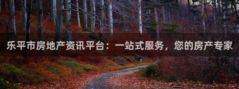 新宝5娱乐方：乐平市房地产资讯平台：一站式服务，您的房产专家