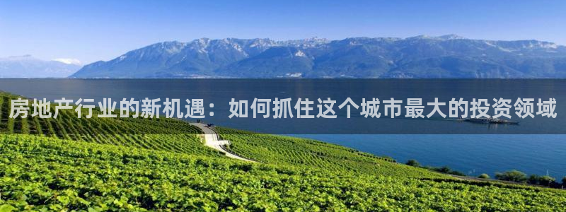 新宝5娱乐然：房地产行业的新机遇：如何抓住这个城市最大的投资