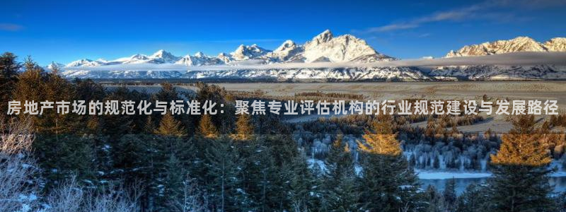 新宝5巅峰：房地产市场的规范化与标准化：聚焦专业评估机构的行