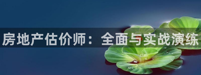 新宝5现在还能玩吗