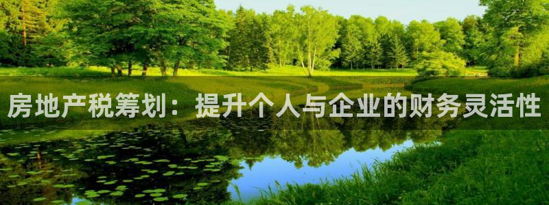 新宝5直属：房地产税筹划：提升个人与企业的财务灵活性