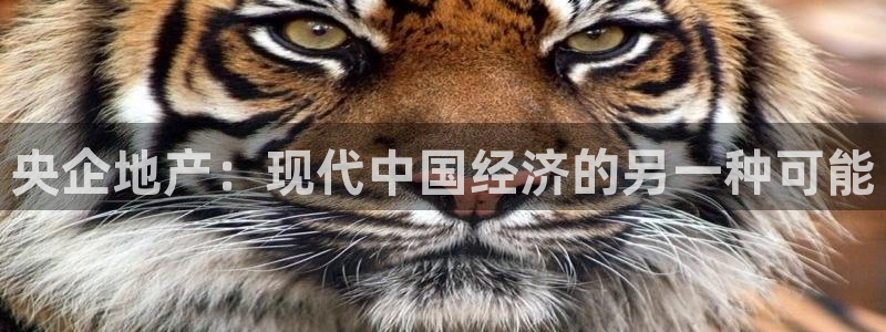 新宝5黑彩：央企地产：现代中国经济的另一种可能