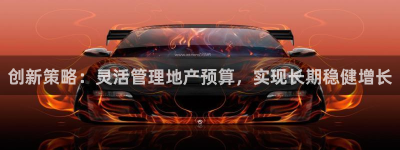 新宝5娱乐没：创新策略：灵活管理地产预算，实现长期稳健增长