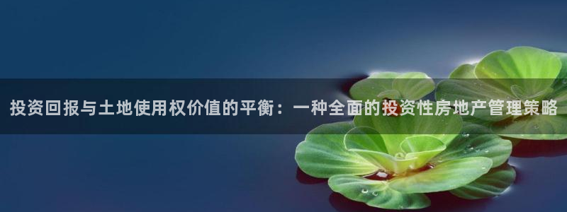新宝5平台霸：投资回报与土地使用权价值的平衡：一种全面的投资
