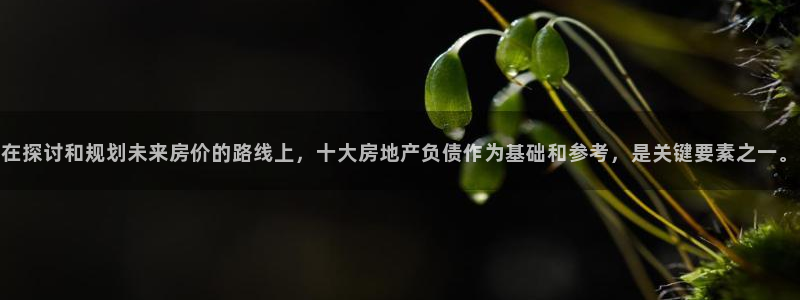 新宝5平台注册公司：在探讨和规划未来房价的路线上，十大房地产