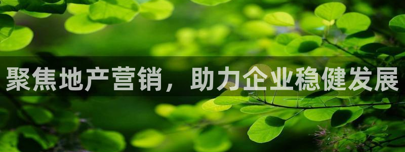 新宝5平台登录注册：聚焦地产营销，助力企业稳健发展