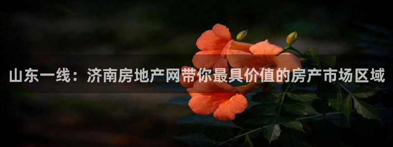 新宝5吴74OOO5：山东一线：济南房地产网带你最具价值的房