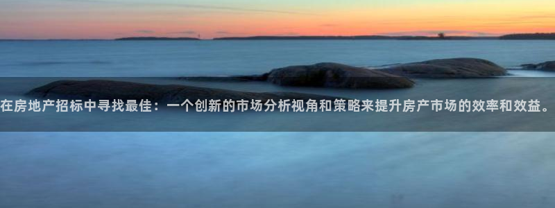 新宝5平台注册：在房地产招标中寻找最佳：一个创新的市场分析视