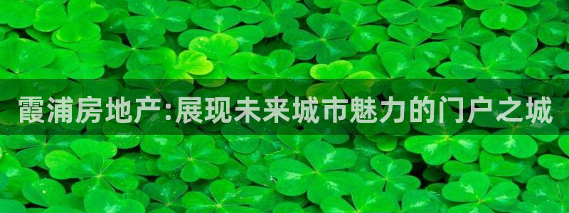 新宝5卫74OOO5：霞浦房地产:展现未来城市魅力的门户之城