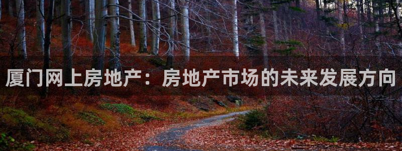 新宝5注册平台：厦门网上房地产：房地产市场的未来发展方向