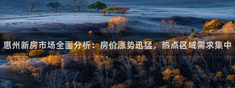 新宝5平台：惠州新房市场全面分析：房价涨势迅猛，热点区域需求