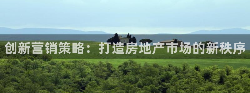 新宝5在哪里：创新营销策略：打造房地产市场的新秩序