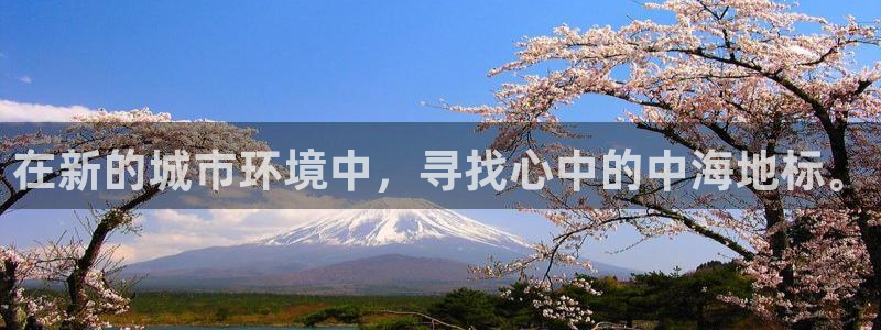 新宝5登录入口网址：在新的城市环境中，寻找心中的中海地标。