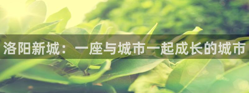 新宝5什么时候上市：洛阳新城：一座与城市一起成长的城市