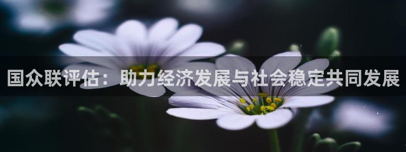 新宝5是谁：国众联评估：助力经济发展与社会稳定共同发展