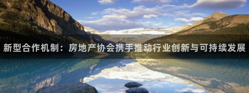 新宝5五：新型合作机制：房地产协会携手推动行业创新与可持续发