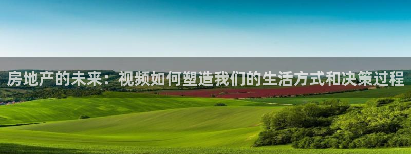 新宝股东王听2 5 5：房地产的未来：视频如何塑造我们的生活
