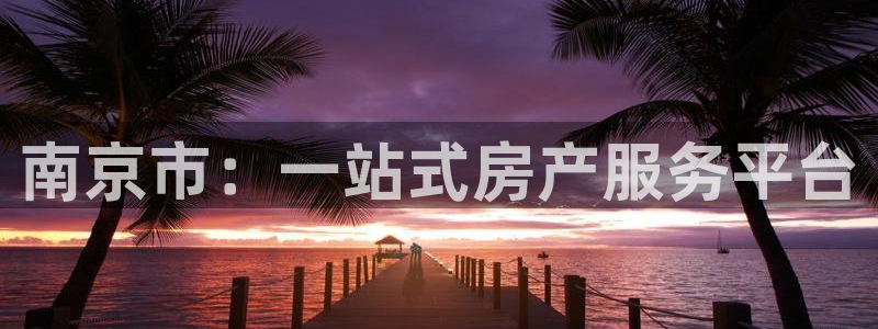 新宝新5：南京市：一站式房产服务平台