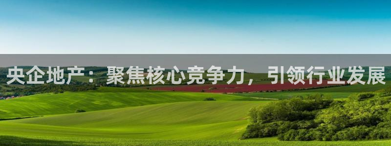 新宝5下载 迅雷下载：央企地产：聚焦核心竞争力，引领行业发展