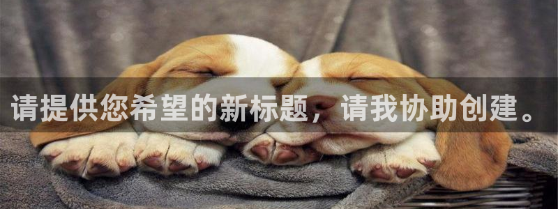新宝速5：请提供您希望的新标题，请我协助创建。