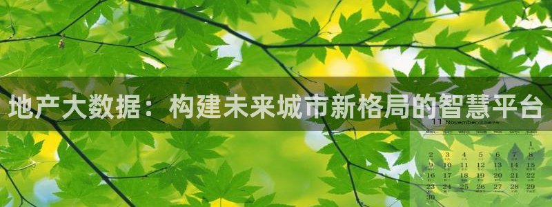 新宝5彩票是正规平台吗：地产大数据：构建未来城市新格局的智慧