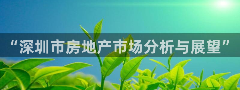 新宝5登录地址：“深圳市房地产市场分析与展望”