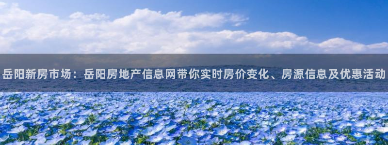 新宝5找找74OOO5：岳阳新房市场：岳阳房地产信息网带你实