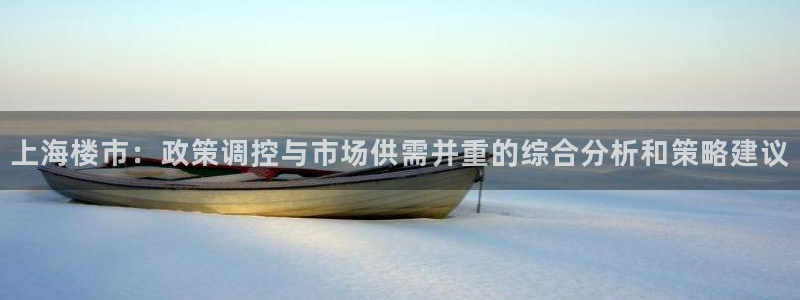 新宝j2O5O5O：上海楼市：政策调控与市场供需并重的综合分