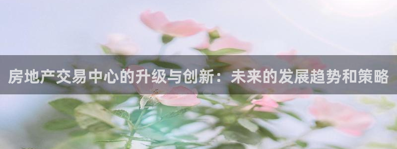 菲律宾新宝5老板：房地产交易中心的升级与创新：未来的发展趋势