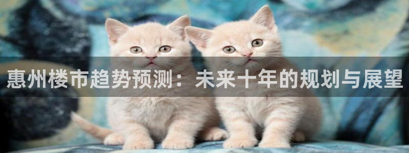 新宝5平台登录下载软件：惠州楼市趋势预测：未来十年的规划与展