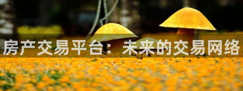 新宝j2O5O5O：房产交易平台：未来的交易网络