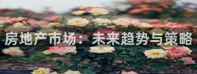 新宝5链接：房地产市场：未来趋势与策略