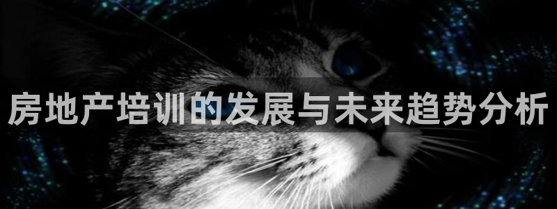 新宝5怎么代理：房地产培训的发展与未来趋势分析
