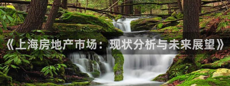 新宝5彩票娱乐平台：《上海房地产市场：现状分析与未来展望》