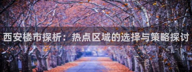 新宝5娱乐没：西安楼市探析：热点区域的选择与策略探讨