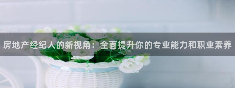 新宝骏rc5W：房地产经纪人的新视角：全面提升你的专业能力和