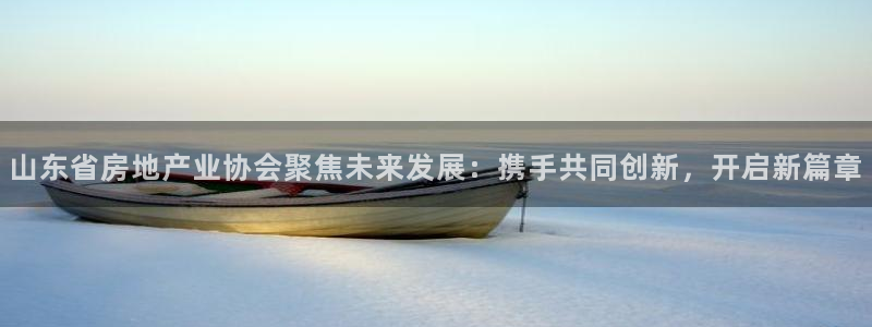 新宝5卫74OOO5：山东省房地产业协会聚焦未来发展：携手共