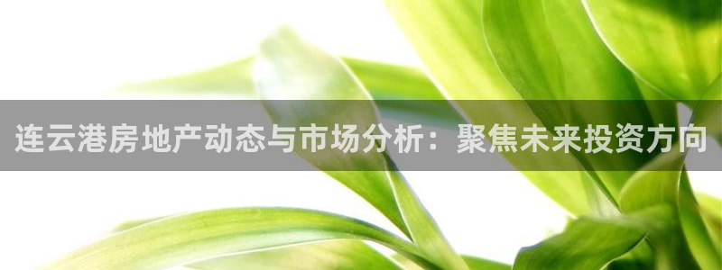 新宝5登录网址：连云港房地产动态与市场分析：聚焦未来投资方向