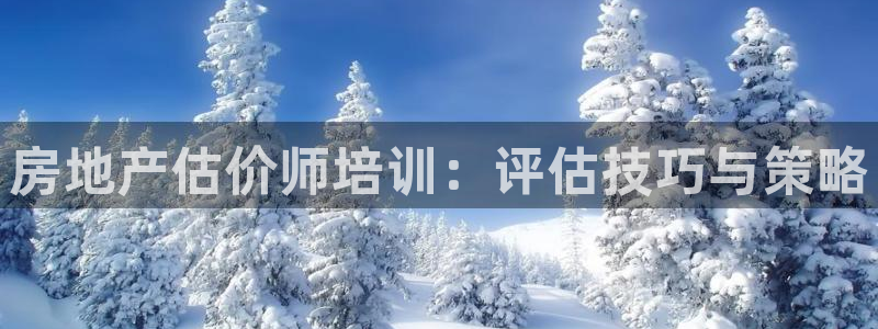 新宝5官方：房地产估价师培训：评估技巧与策略