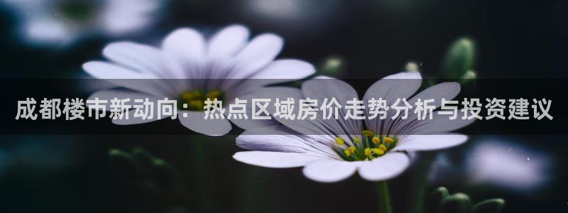 新宝股东瞧听2 5 5：成都楼市新动向：热点区域房价走势分析